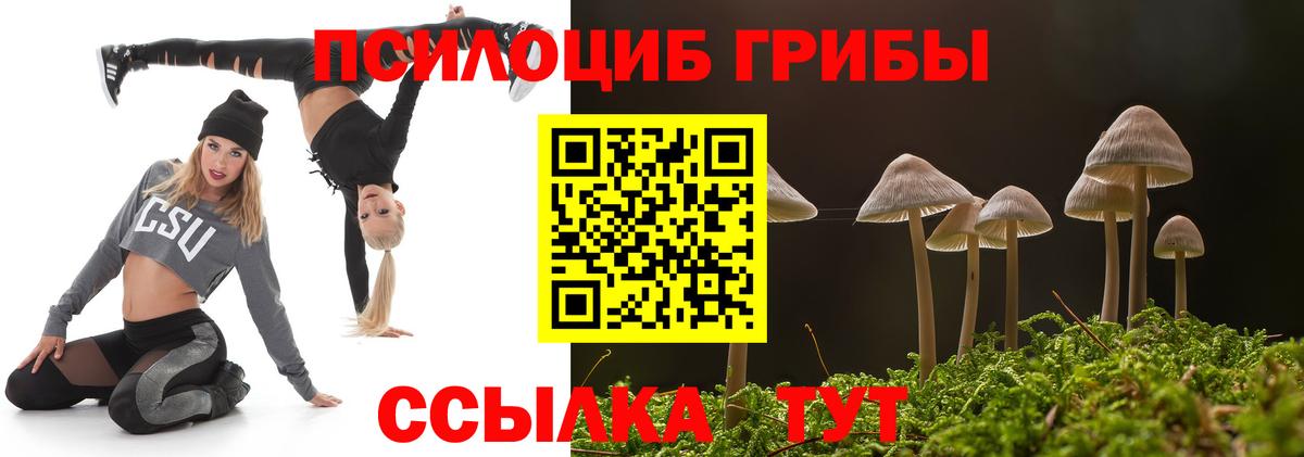 Псилоцибиновые грибы мухоморы Кандалакша